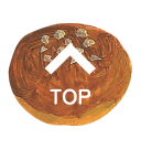 PAGETOP